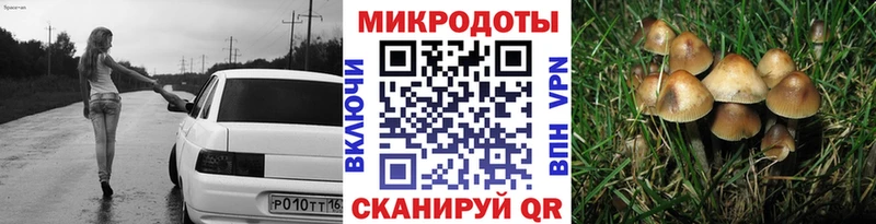 Псилоцибиновые грибы Psilocybe  ОМГ ОМГ ссылки  Славянск-на-Кубани 