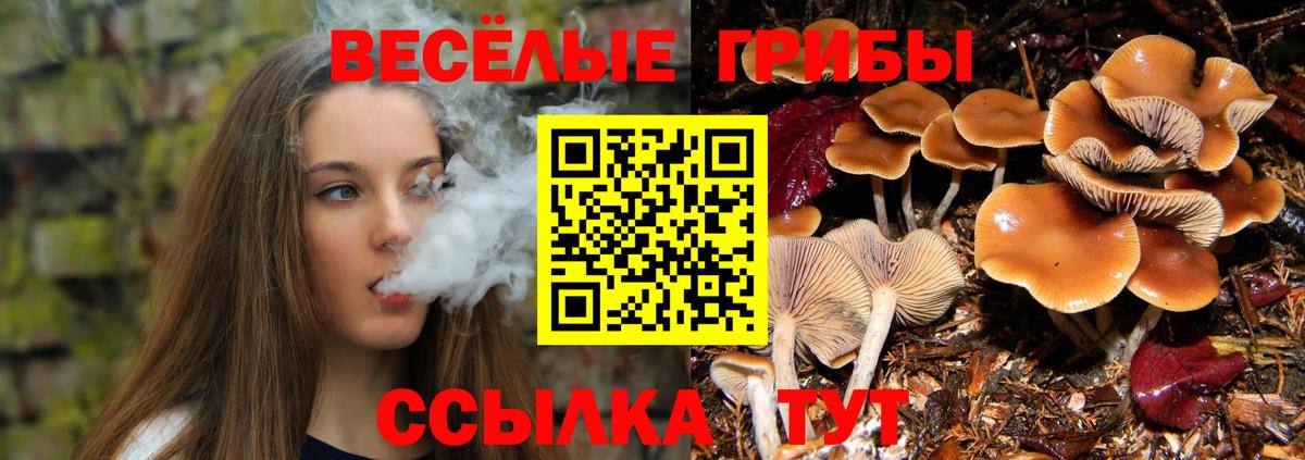 Галлюциногенные грибы Psilocybine cubensis  купить закладку  Вход с VPN  Славянск-на-Кубани  Галлюциногенные грибы мицелий 